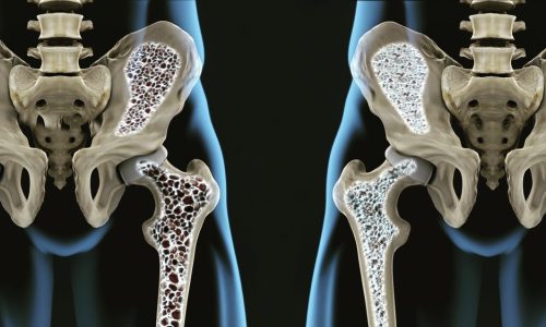 65873537_2577215042290811_2702205234356158464_n